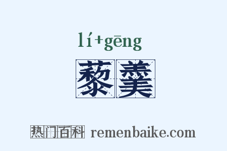 藜羹是什么意思的图片